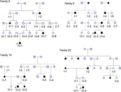 Role of Segregation for Variant Discovery in Multiplex Families Ascertained by Probands With Left Sided Cardiovascular Malformations